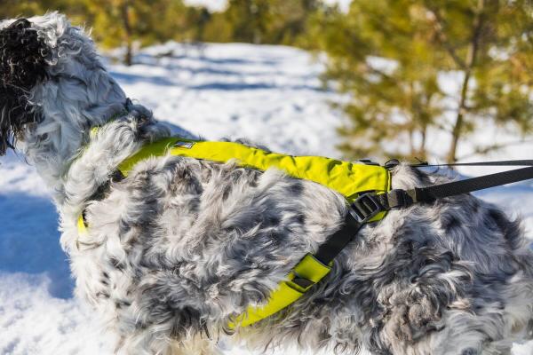 Ruffwear Omnijore™ Joring System Lichen Green Ruffwear Omnijore™ Joring System Lichen Green